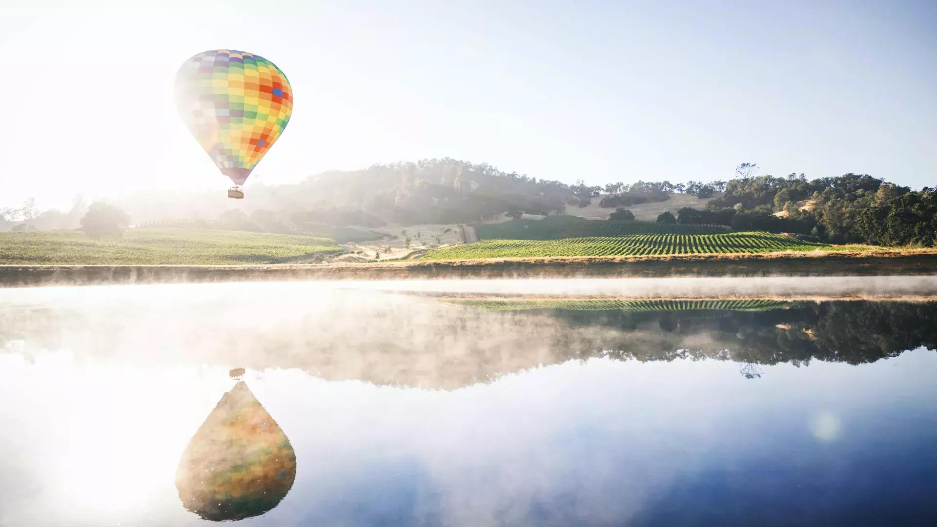 ブドウ園の上空に浮かぶ熱気球。
